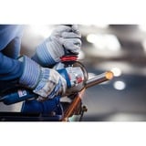 Bosch Trennscheibe Expert for Inox - Rapido, Ø 230mm Bohrung 22,23mm, AS 46 T INOX BF, gerade