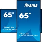 iiyama ProLite LH6560UHS-B2AG, Public Display schwarz (matt), UltraHD/4K, VA, Lautsprecher,