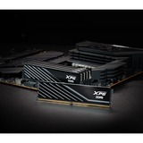 ADATA DIMM 32 GB DDR5-6000 (2x 16 GB) Dual-Kit, Arbeitsspeicher schwarz, AX5U6000C4816G-DTLABBK, XPG Lancer Blade, INTEL XMP, AMD EXPO