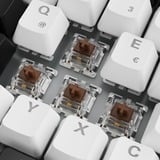 Sharkoon SKILLER SGK50 S3, Gaming-Tastatur weiß, DE-Layout, Gateron Brown