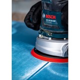 Bosch Expert C470 Schleifblatt, Ø 125mm, K100 Multilochung 50 Stück, für Exzenterschleifer