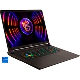 MSI Vector 17 GP78 HX 13VG-056, Gaming-Notebook schwarz, Windows 11 Home 64-Bit, 43.2 cm (17 Zoll) & 240 Hz Display, 1 TB SSD