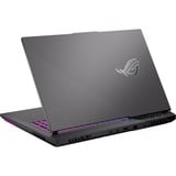 ASUS ROG Strix G17 (2023) (G713PI-LL088W), Gaming-Notebook grau, Windows 11 Home 64-Bit, 43.9 cm (17.3 Zoll) & 240 Hz Display, 2 TB SSD