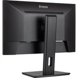 iiyama ProLite XUB2493HSU-B7, LED-Monitor 60.5 cm (23.8 Zoll), schwarz (matt), FullHD, IPS, ergonomischer Standfuß, USB-Hub, 100Hz Panel