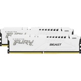 Kingston FURY DIMM 32 GB DDR5-6000 (2x 16 GB) Dual-Kit, Arbeitsspeicher weiß, KF560C36BWE2K2-32, Beast RGB, AMD EXPO