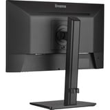 iiyama ProLite XUB2293HSU-B7, LED-Monitor 54.5 cm (21.5 Zoll), schwarz (matt), FullHD, IPS, Adaptive-Sync, Einstellbarer Standfuß, 100Hz Panel