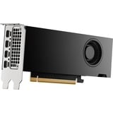 PNY NVIDIA RTX 2000 Ada Generation 16GB PB, Grafikkarte 