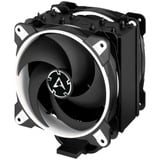 ARCTIC Freezer 34 eSports DUO White, CPU-Kühler weiß/schwarz, 120 mm