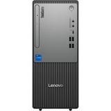 Lenovo ThinkCentre neo 50t Gen 5 (12UD000NGE), PC-System schwarz/grau, Windows 11 Pro 64-Bit