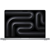 Apple MacBook Pro (14") 2024 CTO, Notebook silber, Apple M4, Apple M4 10-Core GPU, 24 GB, 1 TB SSD, M4, MacOS, Deutsch, Nanotexturglas