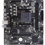 Biostar B550MT, Mainboard 