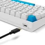 Sharkoon SKILLER SGK50 S2 PBT, Gaming-Tastatur weiß, DE-Layout, Gateron G Pro 3.0 Yellow