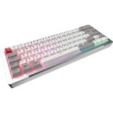 RAIJINTEK MGA-68, Gaming-Tastatur silber, DE-Layout, Hejin Magnetic Yellow