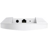 TP-Link Festa F65, Access Point 