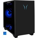 Medion ERAZER Bandit P20 (MD34750), Gaming-PC schwarz/transparent, Windows 11 Home 64-Bit