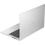 HP EliteBook 630 G10 (817N5EA), Notebook silber, Windows 11 Pro 64-Bit, 33.8 cm (13.3 Zoll), 256 GB SSD