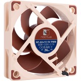 Noctua Noctua NF-A6x15 5V PWM, Gehäuselüfter 