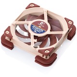 Noctua NV-MPP1.brown Sx4 Mehrzweck-Pads, Dichtung braun, 4 Stück, für 120 mm & 140 mm Lüfter