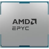 AMD EPYC™ 4484PX, Prozessor Tray-Version