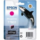 Epson Tinte magenta T7603 (C13T76034N10) UltraChrome HD