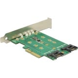 DeLOCK PCI Express Karte > 3 x M.2 Slot, Controller 