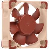 Noctua NF-A4x10 5V PWM, Gehäuselüfter 