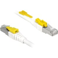 DeLOCK Kabel RJ45 Secure Cat.6A weiß, 2 Meter, verriegelbar, LSOH Halogenfrei